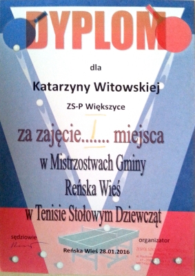 Tenis Stolowy_1